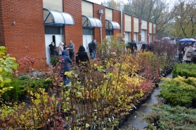 Akcja ekologiczna «Drzewko za makulaturę»