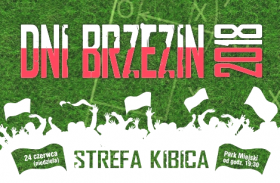Dni Brzezin 2018