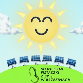 POSTAW Z SP 3 W BRZEZINACH NA SŁOŃCE!