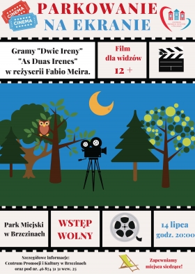 Kino letnie w Brzezinach - 14 lipca godz. 20:00