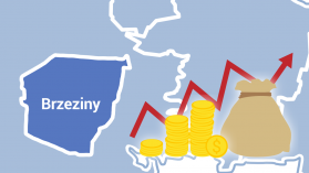 Wykonanie budżetu i sprawozdanie finansowe Miasta Brzeziny za rok 2016