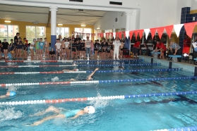 Wojewódzkie zawody pływackie w Brzezinach