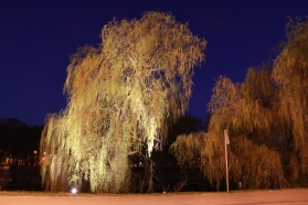 Park Miejski w nowym świetle