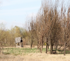 Przygotowania do odwodnienia łąk pod „Zaginione Miasto” 