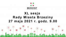 XL sesja Rady Miasta
