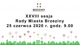XXVIII sesja Rady Miasta