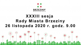 XXXIII sesja Rady Miasta