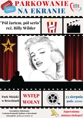 Kino letnie w Brzezinach - 23 sierpnia godz. 21:00