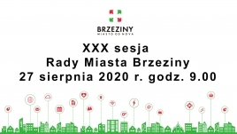 XXX sesja Rady Miasta