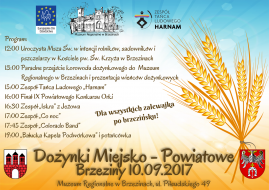 Dożynki Miejsko-Powiatowe 2017